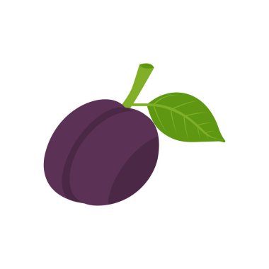 Beyaz arka planda yeşil yapraklı mor sulu bir eriğin vektör çizimi.