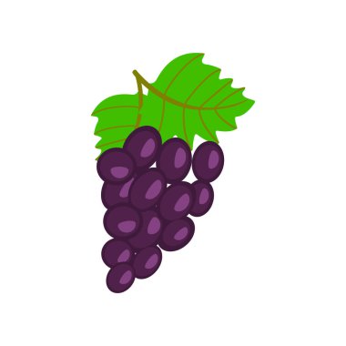 Beyaz arka planda, mor üzümler izole edilmiş. Yapraklar ve saplarla, bir demet mor üzüm.