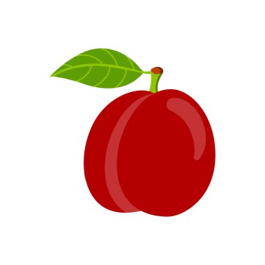 Yaprakları olan bir dalda şeftali, izole bir vektör..