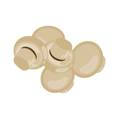 Bir demet düğme mantarının düz tasarım çizimi