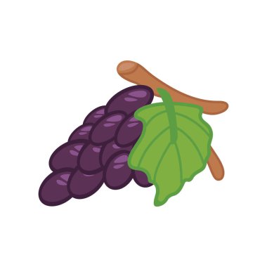 Beyaz arkaplanda izole edilmiş mor üzümler, vektör illüstrasyonu