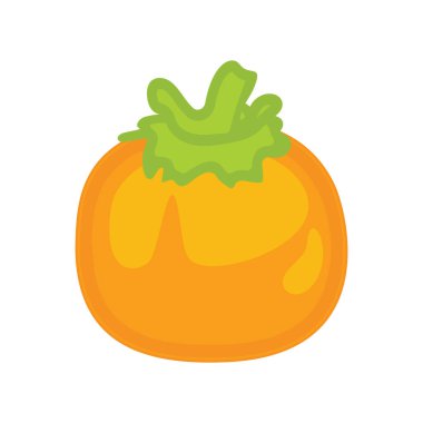 Hurma, meyve illüstrasyonu ve vektör illüstrasyonu