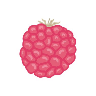 Beyaz arka planda, tatlı böğürtlenler izole edilmiş. Raspberry illüstrasyonunda tasarım