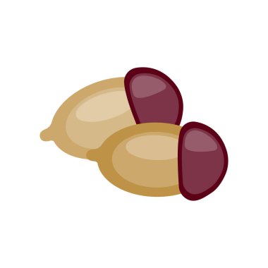 Beyaz arkaplanda fasulye, vektör grafiği