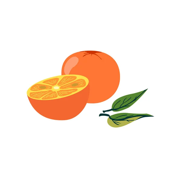 Řezy Oranžové Vektorové Ilustrace Plné Poloviční Oranžové — Stockový vektor