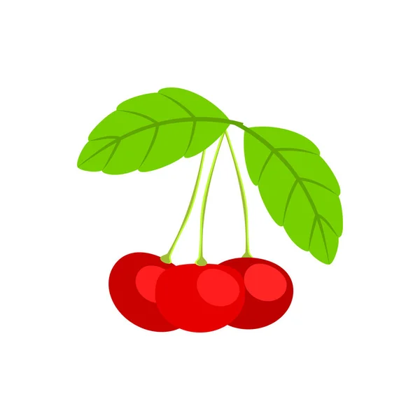 Branch Three Cherries White Background Isolated Illustration Vector Format — Stock Vector
