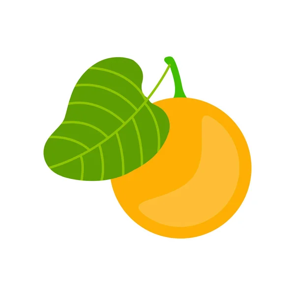 Aislada Sobre Fondo Blanco Toda Una Naranja Con Hojas — Vector de stock