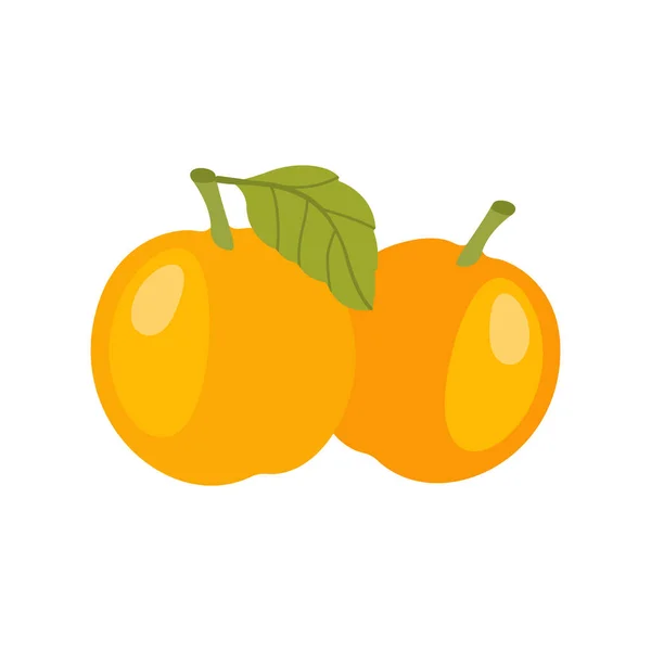 Aprikosen Frisch Und Gesund Für Web Design Eine Frische Aprikose — Stockvektor