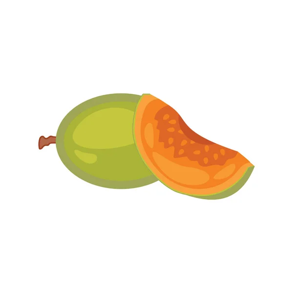 Frutta Uno Stile Vita Sano Estate Fette Melone Frutta Intera — Vettoriale Stock