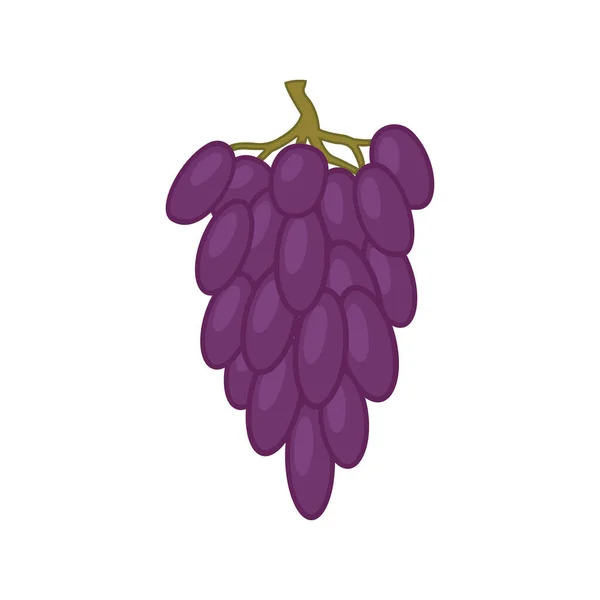 紫色葡萄插图 在白色的背景下 紫色的葡萄被分离出来 — 图库矢量图片
