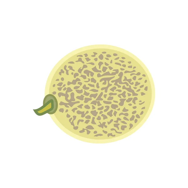 Eine Ganze Melone Aus Dem Garten Isoliert Auf Weißem Hintergrund — Stockvektor