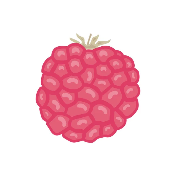 White Background Sweet Berries Isolated Design Vector Raspberry Illustration — Stock Vector