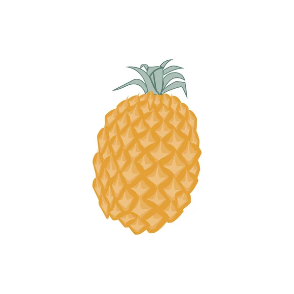Ananas Und Vitamine Symbolvektorillustration Illustration Mit Tropischem Thema — Stockvektor