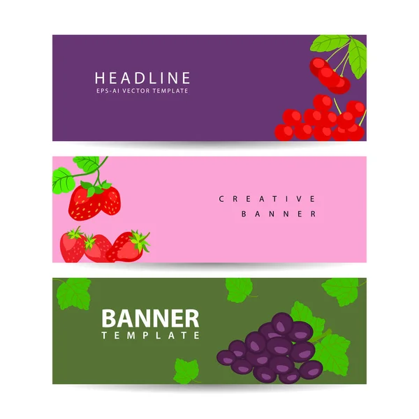 Set Von Horizontalen Bannern Mit Drei Beeren Und Früchten Vektorillustration — Stockvektor