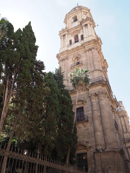 Torre cênica da catedral na cidade de Málaga, na Espanha - vertical — Fotografia de Stock