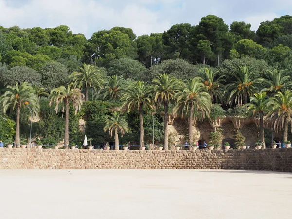 Square Palm Trees Park Guell European Barcelona City Catalonia District — Stockfoto