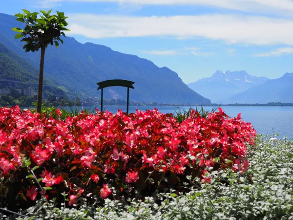 Flores no calçadão em Montreux cidade na Suíça — Fotografia de Stock