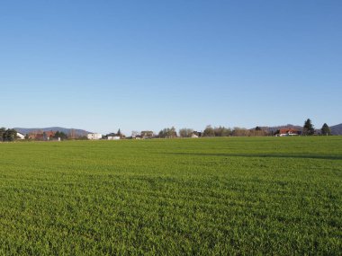 Polonya 'nın Avrupa Bielsko-Biala kentindeki spor havaalanı yakınlarındaki panoramik manzara, Nisan' ın 2020 'de güneşli bahar gününde açık mavi gökyüzü.