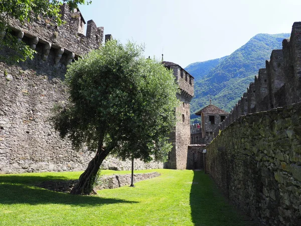 Tree Walls Castle European Bellinzona City Canton Ticino Switzerland Clear — Foto de Stock