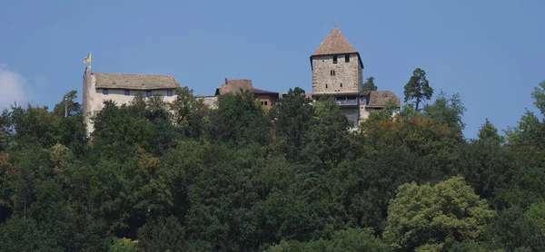 Stony Hohenklingen Castle Forest Hill European Stein Rhein Town Switzerland — Φωτογραφία Αρχείου