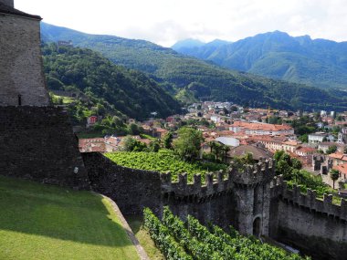 Alps and vineyard from Bellinzona city, canton Ticino, Switzerland