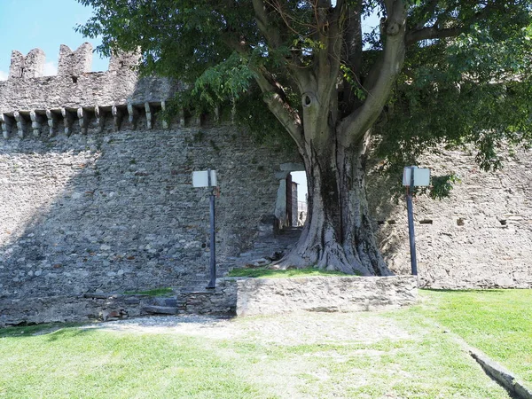 Tree and walls of Montebello citadel in Bellinzona city, Switzerland — Fotografia de Stock