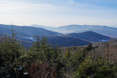 Dağların ve ağaçların manzarası