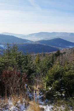Bielsko-Biala yakınlarındaki fantastik Batı Karpatlar - dikey