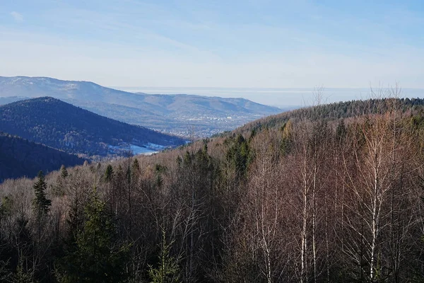 Gebirge Den Äußeren Westkarpaten Der Nähe Der Stadt Bielsko Biala — Stockfoto