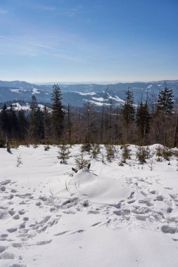 Polonya 'da Avrupa' da Bialy Krzyz 'de Silesian Beskid' e kar - dikey