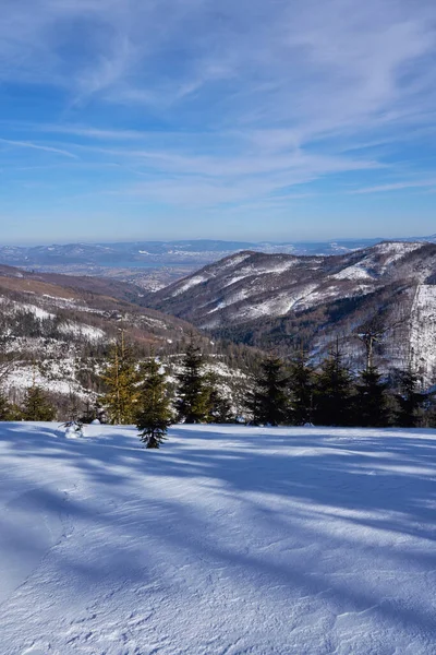 Snowy lea на сайті european Bialy Krzyz — стокове фото