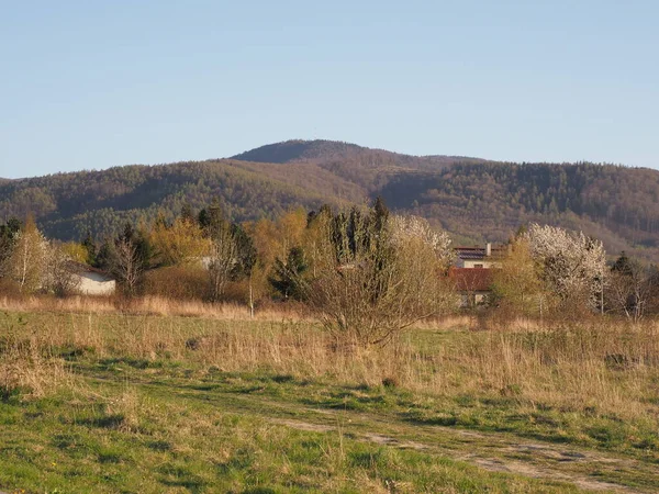 Laub der schlesischen Beskiden, Stadt Bielsko-Biala, Polen — Stockfoto