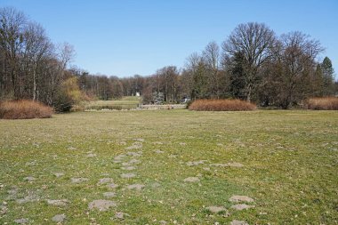 Polonya 'nın Pszczyna kentindeki park manzaralarında otlak ve ağaçlar