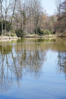 Polonya 'nın Pszczyna kasabasındaki gölet sularına yansıyan T' ler