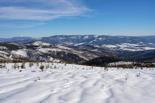 Зимова Панорама Сілезьких Горах Бескидів European Bialy Krzyz Польщі Чисте — стокове фото