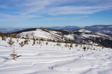 Polonya 'daki Avrupa Bialy Krzyz' in Silesian Beskid Dağları 'ndaki beyaz panorama 2022' de açık mavi gökyüzü soğuk güneşli kış günü.