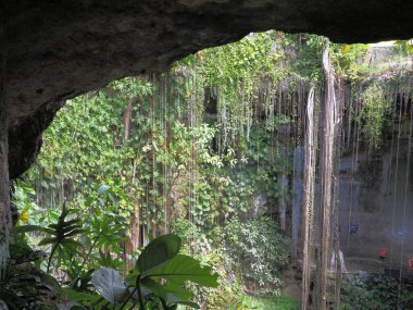 Meksika 'nın Yucatan yarımadasındaki Chichen Itza Maya kasabası yakınlarındaki mağaradan Cenote Ik-Kil' e 2018 'de güneşli bir kış günü, Kuzey Amerika' da.