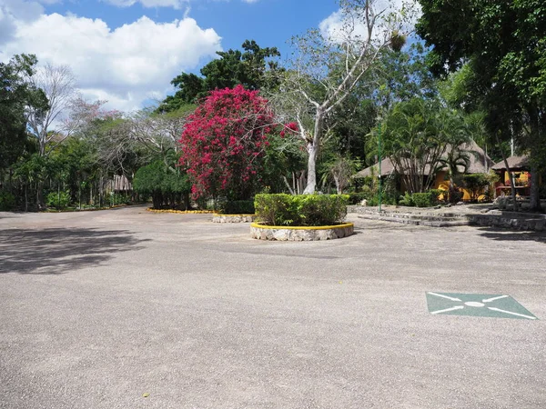Egzotyczny Park Cenote Kil Pobliżu Miasta Chichen Itza Jukatanie Meksyku — Zdjęcie stockowe