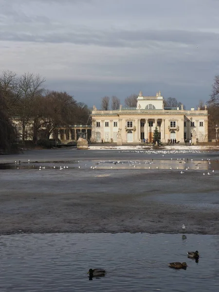 Avrupa 'nın başkenti Varşova' nın başkenti Masovian Voyvoda, 2019 yılındaki soğuk kış gününde Polonya 'daki hamamda ördekler ve saray - dikey