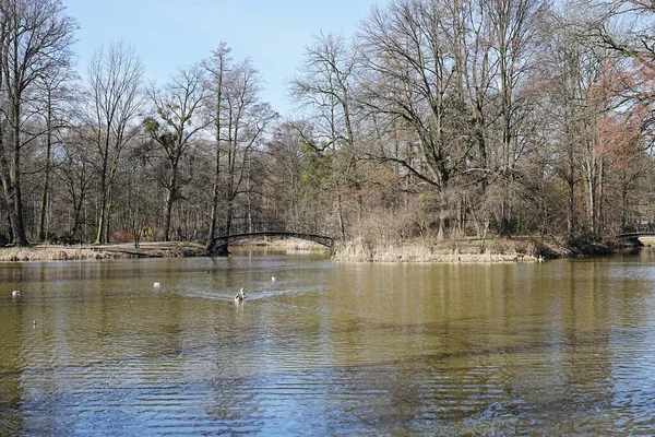 Lakeside Landscape Park Pszczyna Town Poland — Zdjęcie stockowe