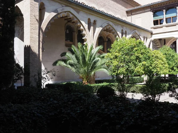 Patio with exotic plants in european Saragossa city at Aragon district in Spain in 2019 warm sunny summer day on September.