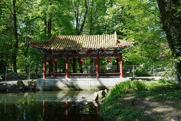 Chinese garden at baths park in Warsaw european capital city of Poland in Masovian voivodeship, clear blue sky in 2022 warm sunny spring day on May.