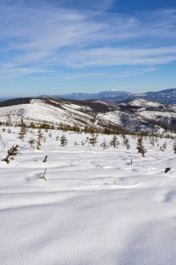 Marvelous scenery of Silesian Beskid Mountains near european Bialy Krzyz in Poland clear blue sky in 2022 cold sunny winter day on February - vertical