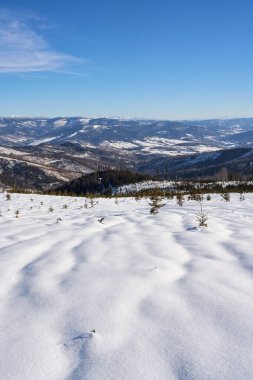 Desolate view of Silesian Beskid Mountains near european Bialy Krzyz in Poland clear blue sky in 2022 cold sunny winter day on February - vertical