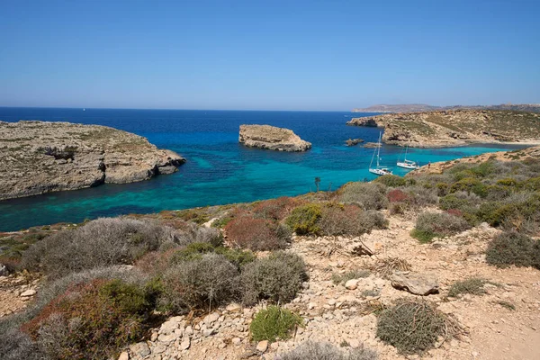 Malta 'daki Avrupa Comino Adası' nda harika mavi bir göl 2022 'de açık mavi gökyüzü Mayıs' ta güneşli bir bahar günü.