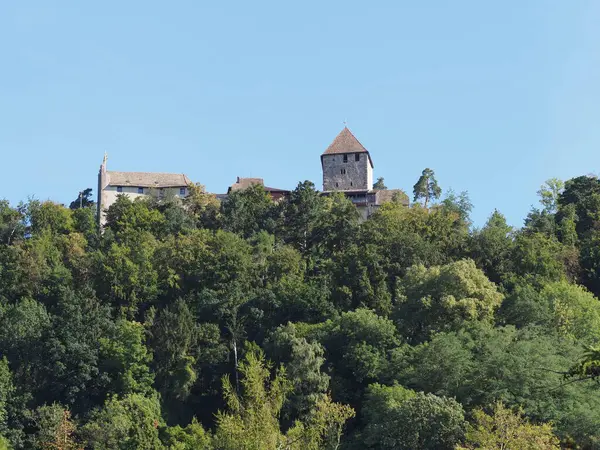 Stony Hohenklingen Castle Forest European Stein Rhein Town Switzerland Clear — Foto Stock