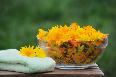 ayarlama, calendula çiçekler ile tedavi spa