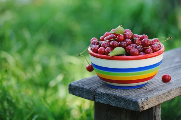 Свіжі вишні в кольоровій тарілці на дерев'яному столі в саду — стокове фото