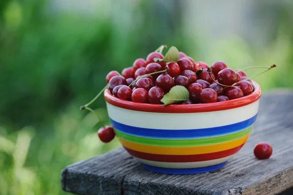 Cerejas frescas em placa de cor na mesa de madeira no jardim — Fotografia de Stock