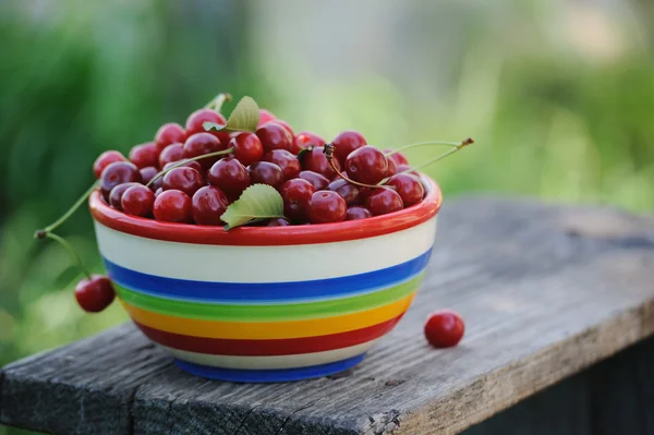 taze kiraz renkli plaka Bahçe ahşap tablo